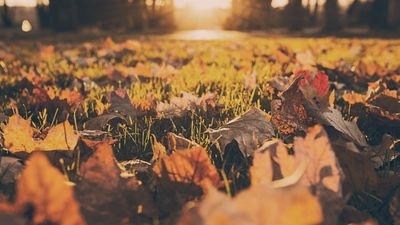 Otoño en Cáceres