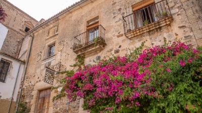 Palacio de los Durán de la Rocha