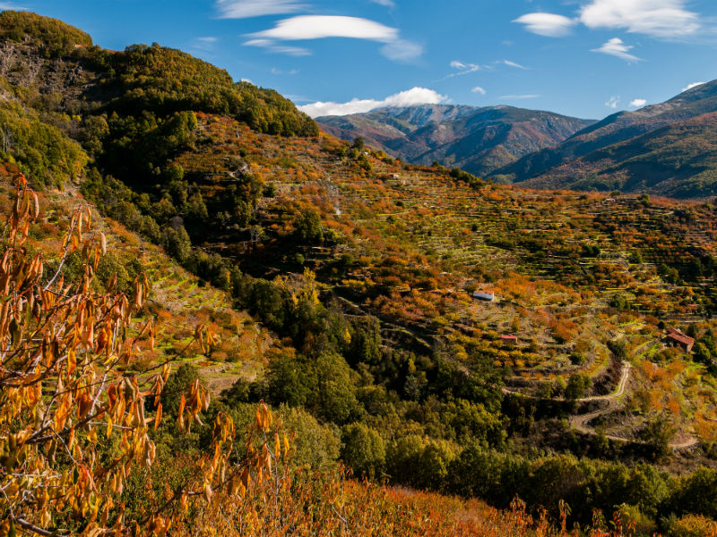 Valle del Jerte en Otoño