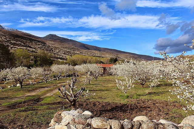 Los Tres Valles de Cáceres