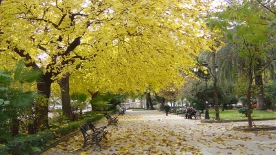 Paseo Canovas foto destacada