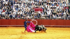 Ver los toros en Cáceres