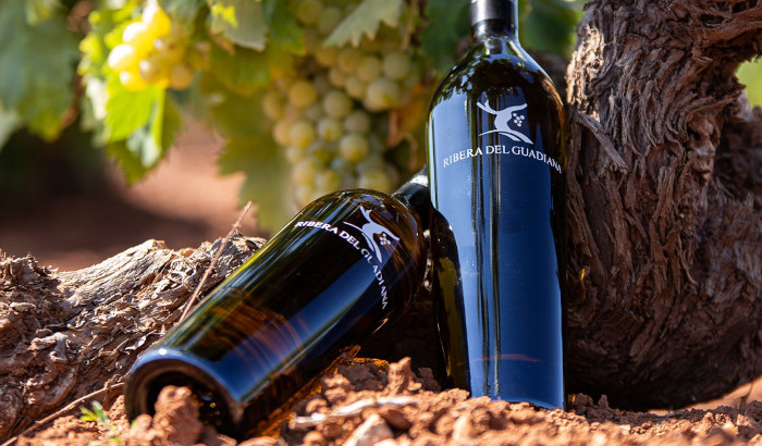 Cuáles son los Mejores Vinos de Extremadura