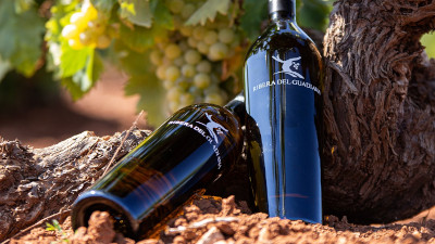 Mejores vinos Extremadura