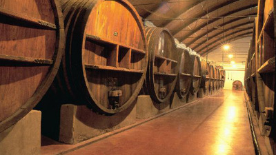 Museo de las Ciencias del Vino