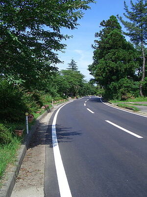 Carretera - Conoce Villarreal de San Carlos