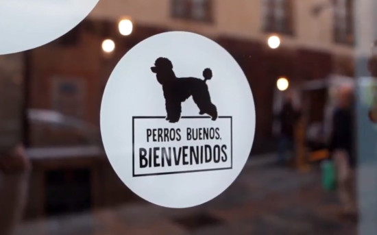 Dónde comer en Cáceres con perro