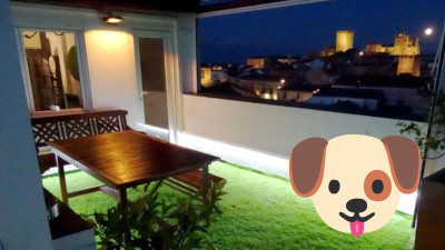 Apartamentos en Cáceres que admiten mascotas