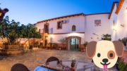 Casas Rurales en Cáceres que admiten mascotas