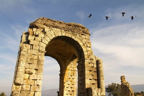 Fotografía del arco cuadriforme de la Ciudad Romana de Cáparra