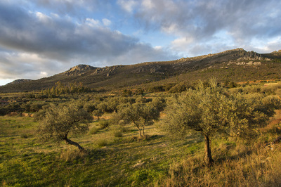 Canchos de la Silleta