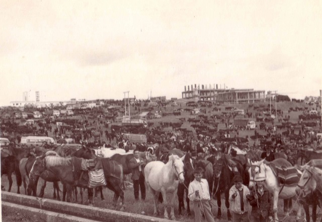 Feria del Ganado en Cáceres - San Fernando