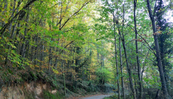 Ruta de La Chorrera de Hervás