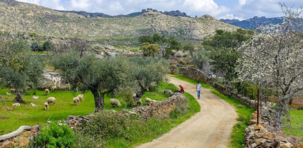 Ruta de los Dólmenes de Valencia de Alcántara