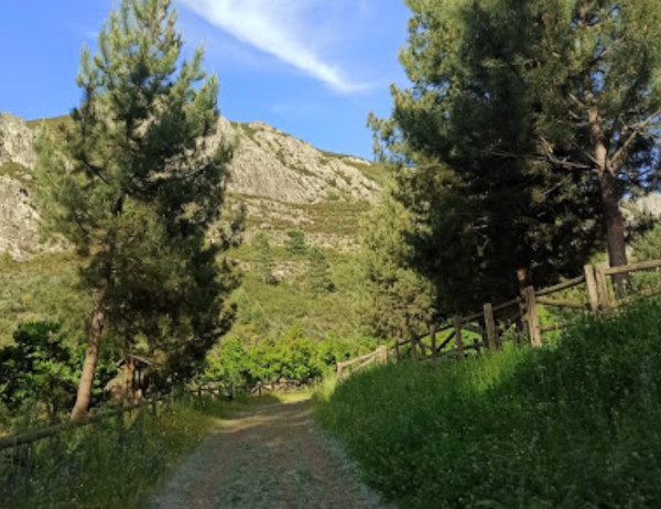 Ruta de Isabel la Católica de Cañamero a Guadalupe