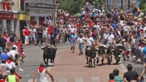 Fotografía de un encierro de la Fiesta de San Juan en Coria