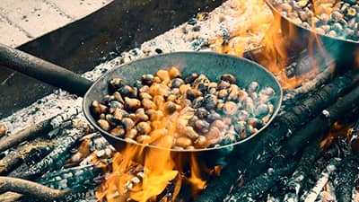 Celebración de los Calbotes