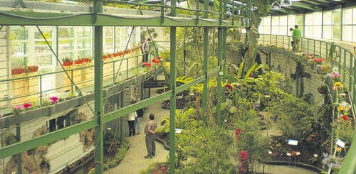 Interior del Invernadero del Parque del Príncipe en Cáceres