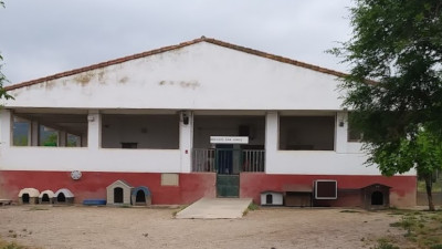 El refugio de animales San Jorge Cáceres