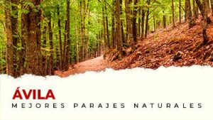 Los mejores parajes naturales de Ávila