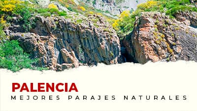 Los mejores parajes naturales de Palencia