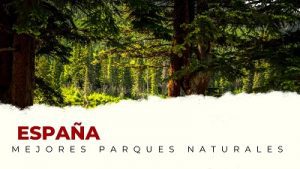 Los Mejores Parques Naturales para Visitar en España