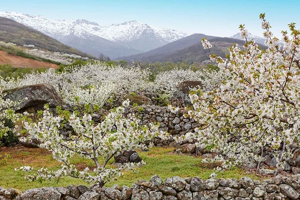 Ven a Conocer los Valles Más Bonitos de España