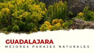 Los mejores parajes naturales de Guadalajara