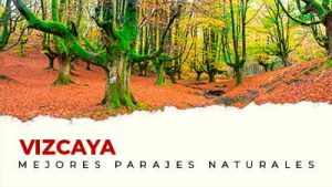 Los mejores parajes naturales de Vizcaya