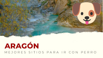 Los mejores sitios para visitar con perro en Aragón