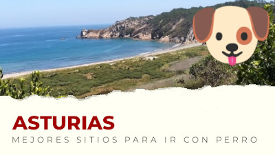 Los mejores sitios para visitar con perro en Asturias