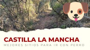 Los mejores sitios para visitar con perro en Castilla La mancha