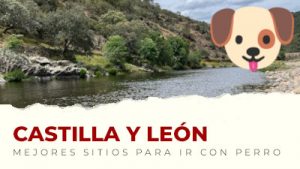 Los mejores sitios para visitar con perro en Castilla y León