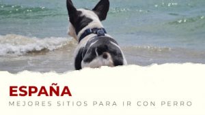 Los mejores sitios para visitar con perro en España