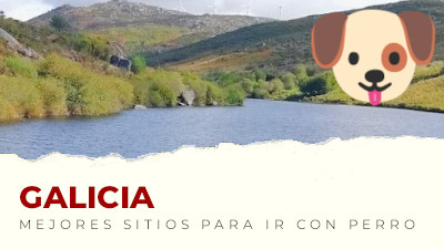 Los mejores sitios para visitar con perro en Galicia