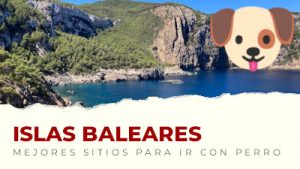 Los mejores sitios para visitar con perro en Islas Baleares