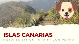Los mejores sitios para visitar con perro en Islas Canarias