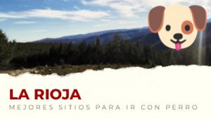 Los mejores sitios para visitar con perro en La Rioja