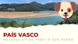 Los mejores sitios para visitar con perro en País Vasco