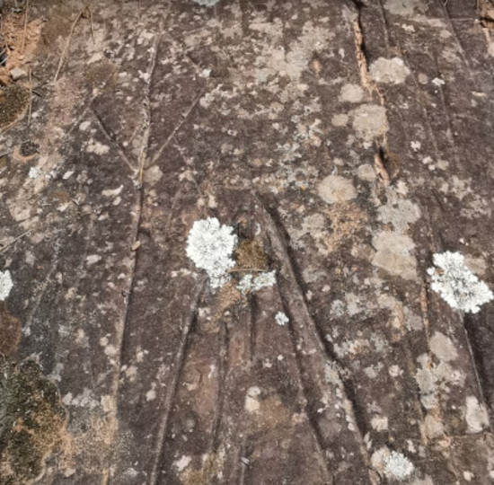 Petroglifos "El Lagar de la Joya", Casar de Palomero