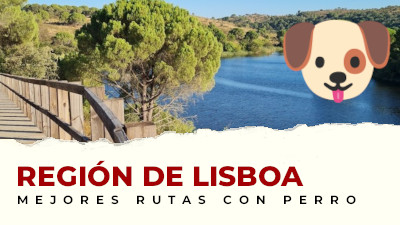 Las mejores rutas para hacer con perro en región de Lisboa