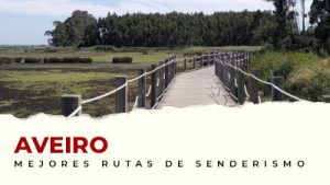 Las mejores rutas de senderismo en el distrito de Aveiro