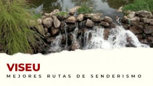 Las mejores rutas de senderismo en el distrito de Viseu