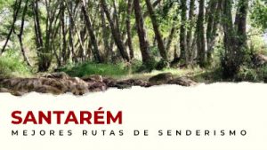 Guía de rutas de senderismo en el distrito de Santarém