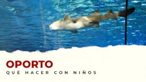 Actividades con niños en el distrito de Oporto