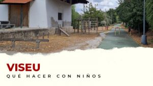 Actividades con niños en el distrito de Viseu