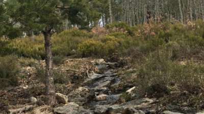 Las mejores Rutas de Senderismo por Sierra de Gata