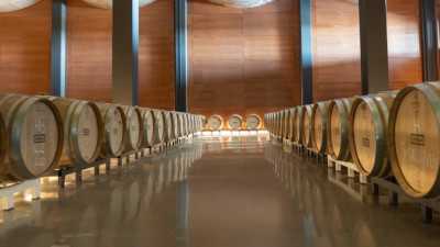 Visita las mejores bodegas de vino de Extremadura